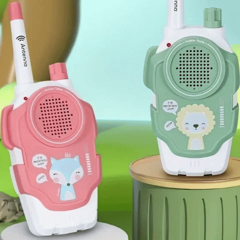 ensemble de deux talkies walkies