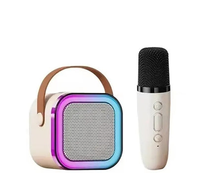 Micro karaoke | BlueSound Portable