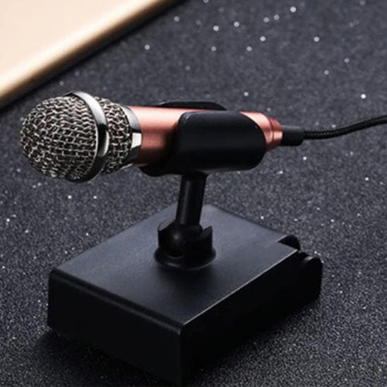 Mini Micro karaoke aspect métalique