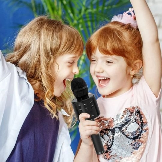 micro karaoke pour des soirées endiablées